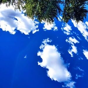 Meet your Posher, Rochell